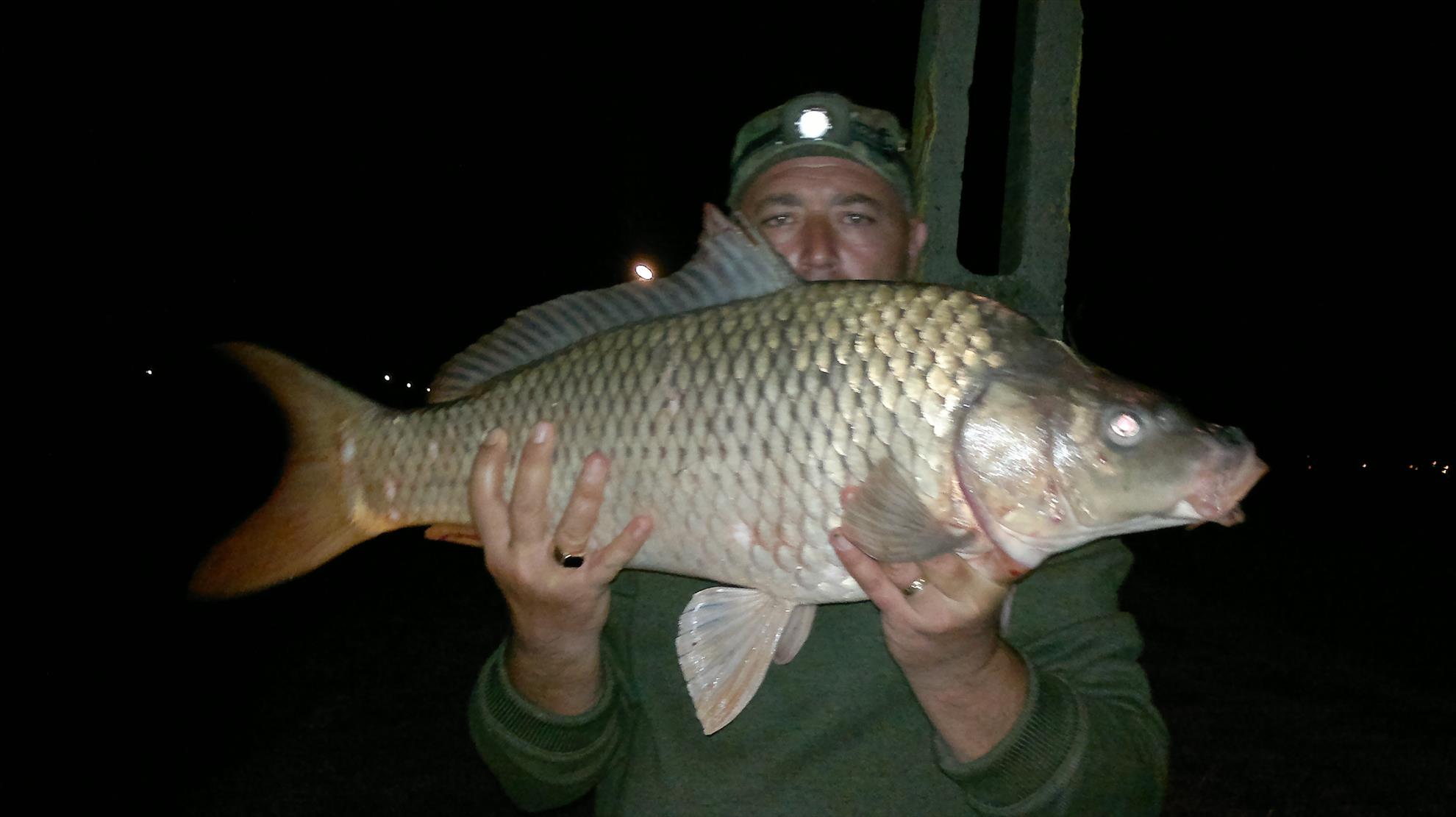 CATALIN DUTULESCU - picture-028.jpg